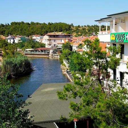 Olive Branch Ayvalı