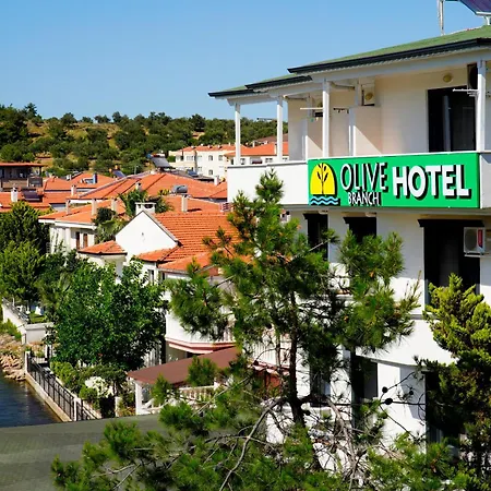 Hotel Olive Branch