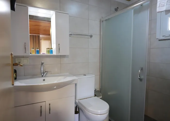 Olive Branch * Ayvalı