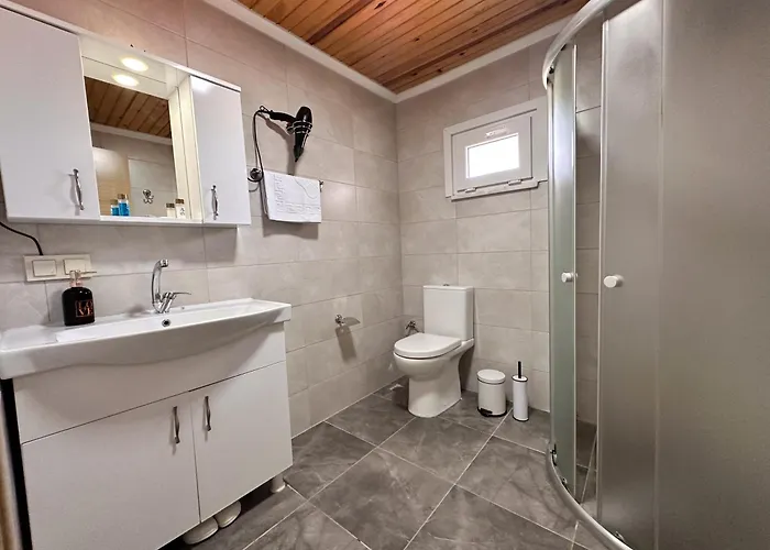 Olive Branch * Ayvalı