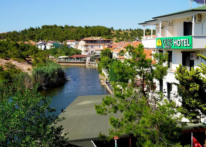 Olive Branch Ayvalı