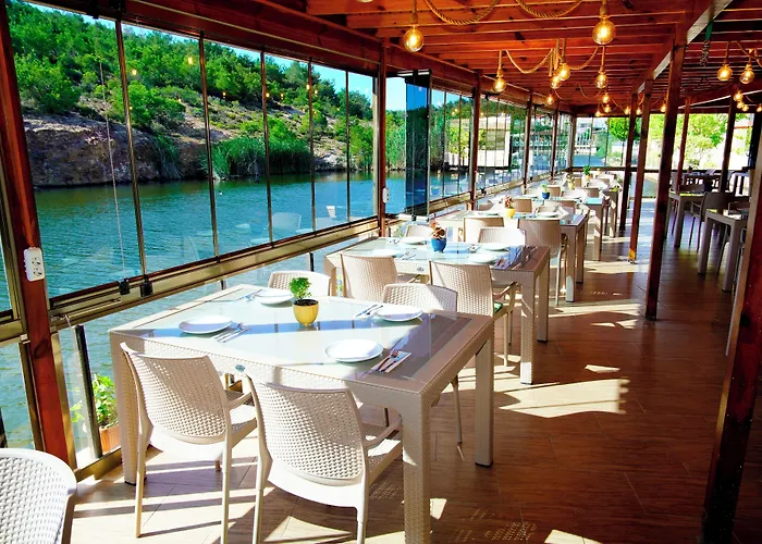 Olive Branch * Ayvalı