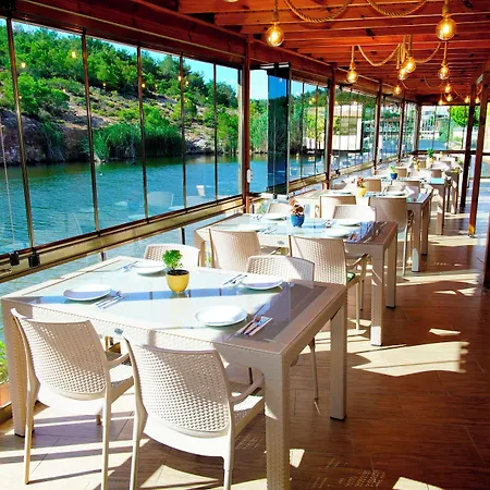 Olive Branch * Ayvalı