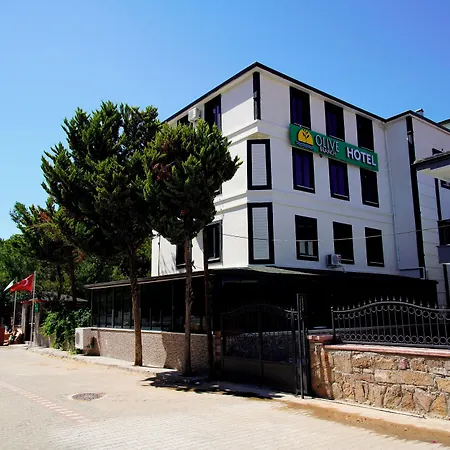 Olive Branch Otel *