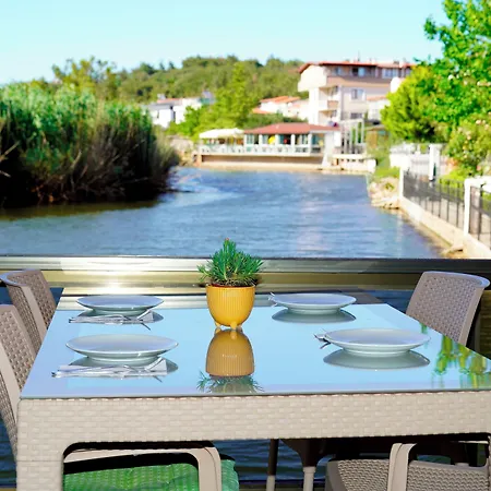 Olive Branch * Ayvalı