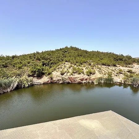 Olive Branch * Ayvalı