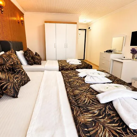 Olive Branch Hotel *
