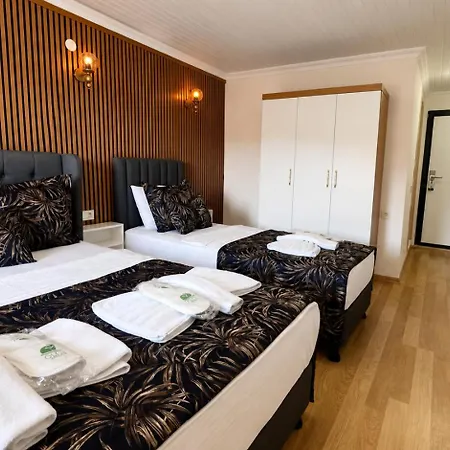 Hotel Olive Branch