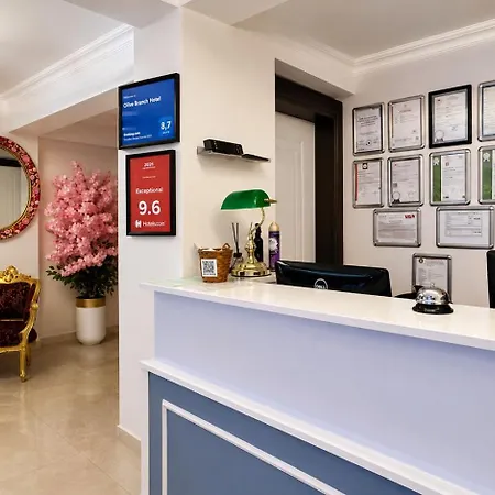 Olive Branch Hotel *