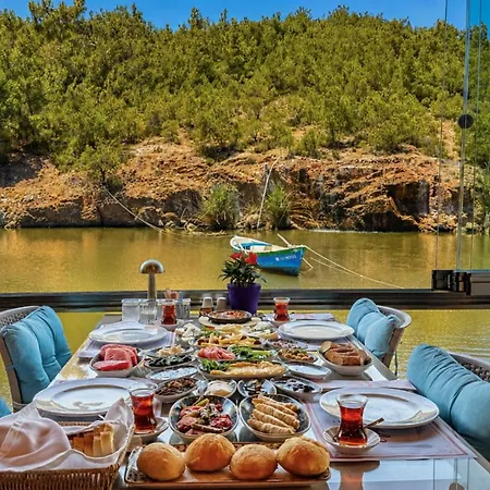 Olive Branch Otel