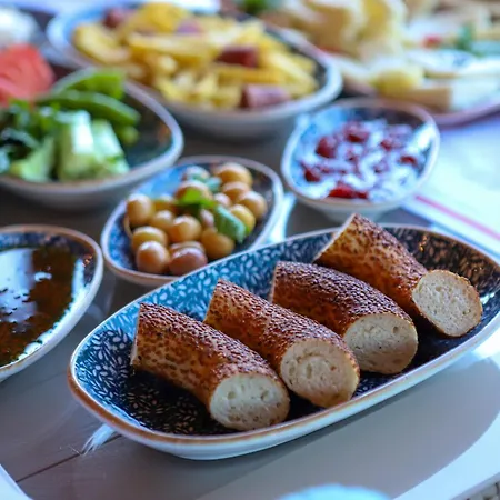Otel Olive Branch
