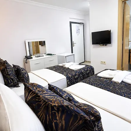 Hotel Olive Branch *