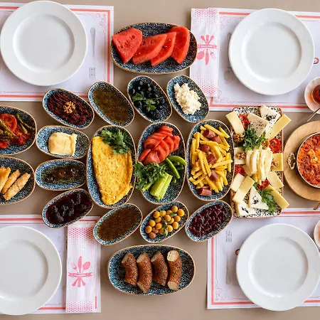 Olive Branch Ayvalı