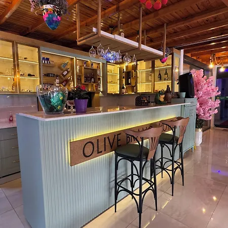 Olive Branch Ayvalı