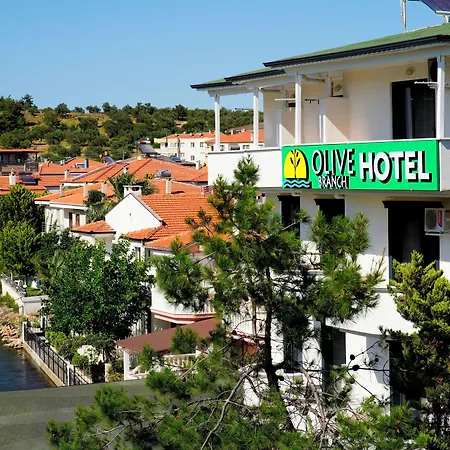 Olive Branch Hotell