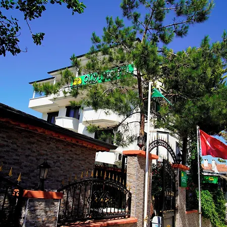 Olive Branch Hotell