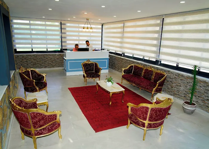 Olive Branch Ayvalı