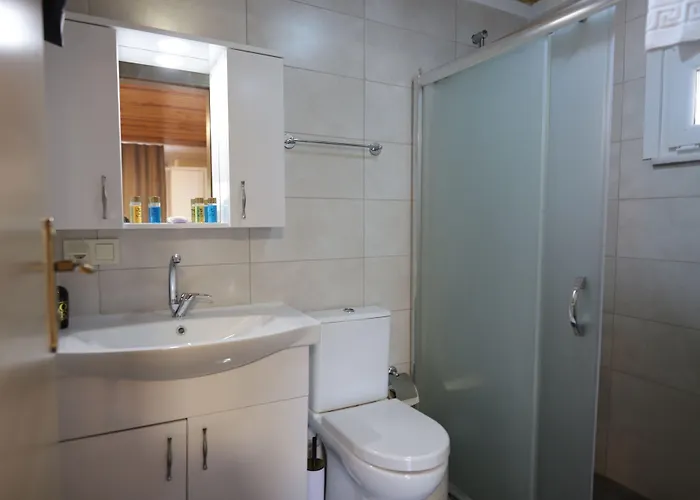 Olive Branch * Ayvalı