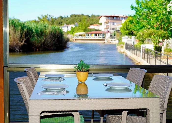 Olive Branch * Ayvalı